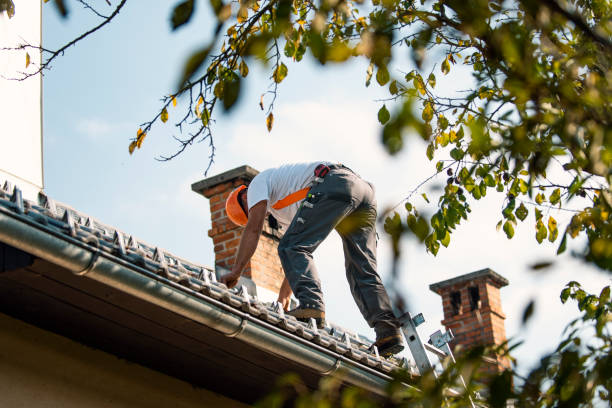 Best Roof Gutter Cleaning  in Wilber, NE