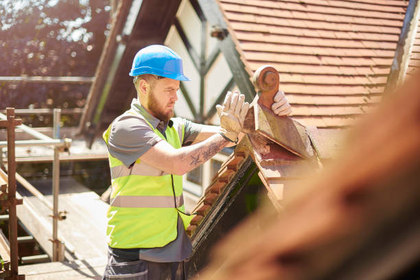 Best Commercial Roofing Services  in Wilber, NE